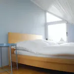 Gretel 卡塞尔